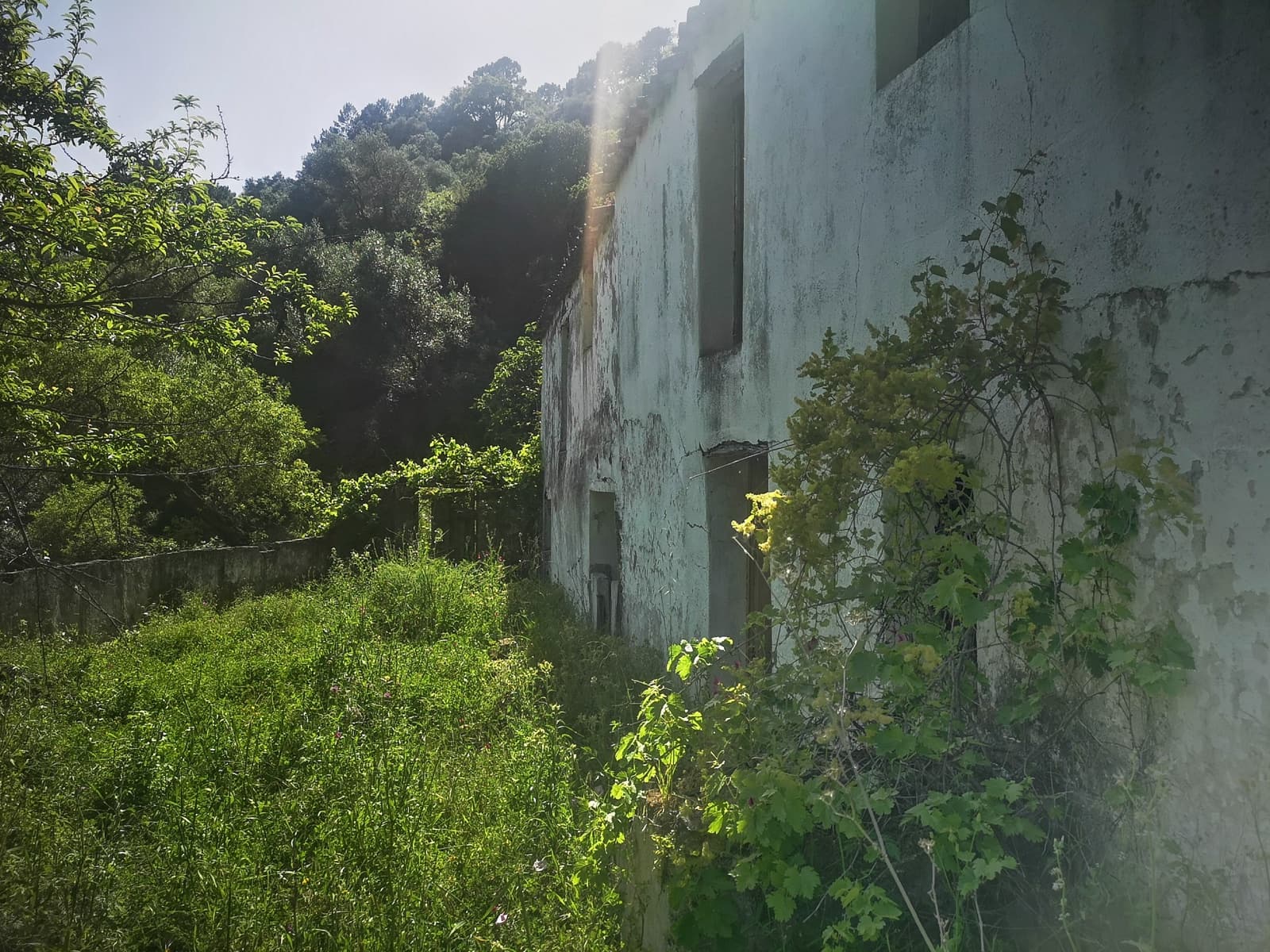 Finca/Herregård til salgs i Jubrique - € 179 000 (Ref: 6840064)