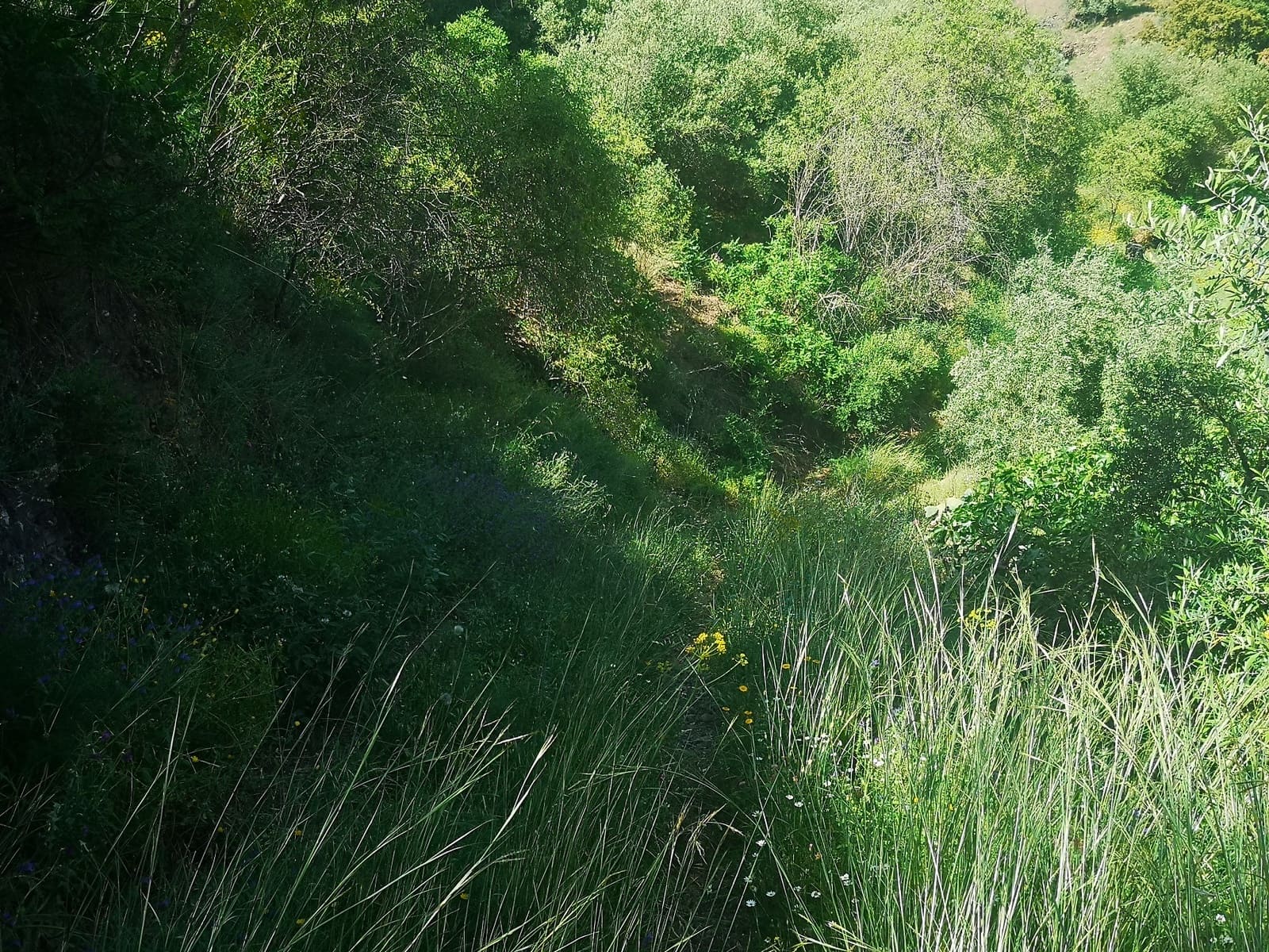 Finca/Herregård til salgs i Jubrique - € 179 000 (Ref: 6840064)