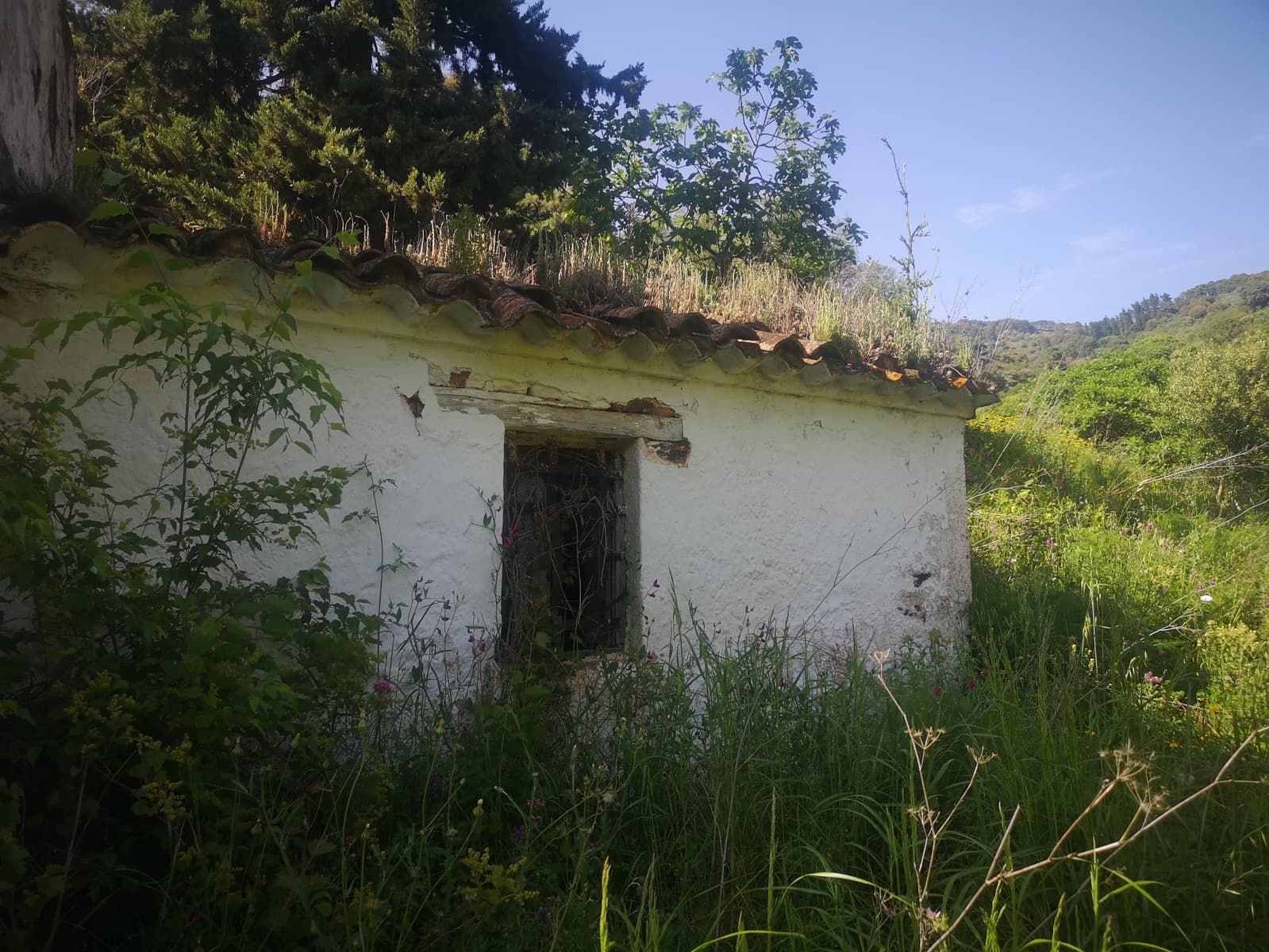 Finca/Herregård til salgs i Jubrique - € 179 000 (Ref: 6840064)