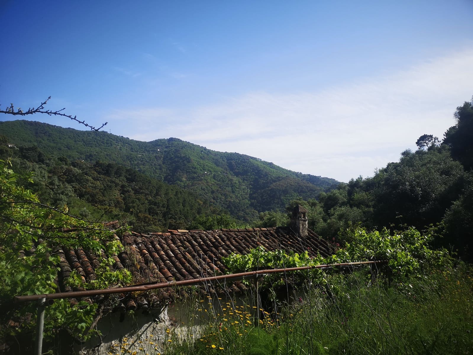 Finca/Landehus til salg i Jubrique - € 179.000 (Ref: 6840064)