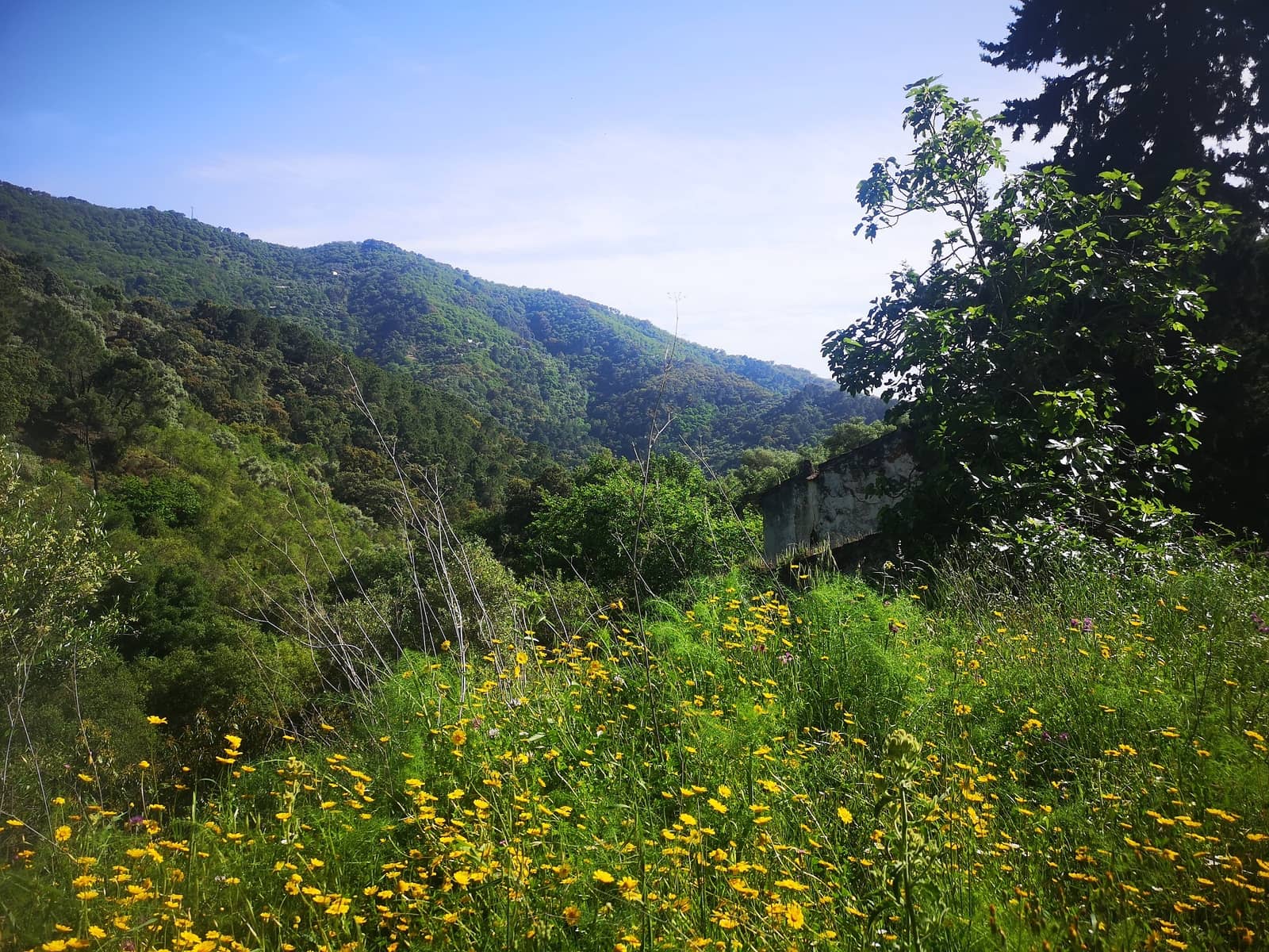 Finca/Herregård til salgs i Jubrique - € 179 000 (Ref: 6840064)