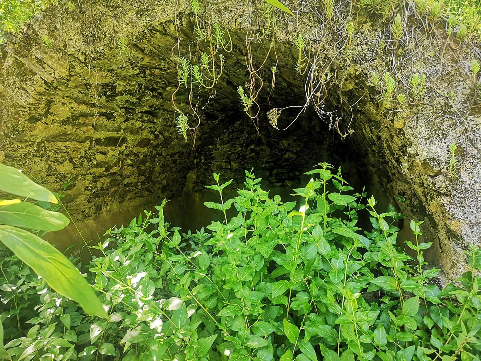 Finca/Herregård til salgs i Jubrique - € 179 000 (Ref: 6840064)