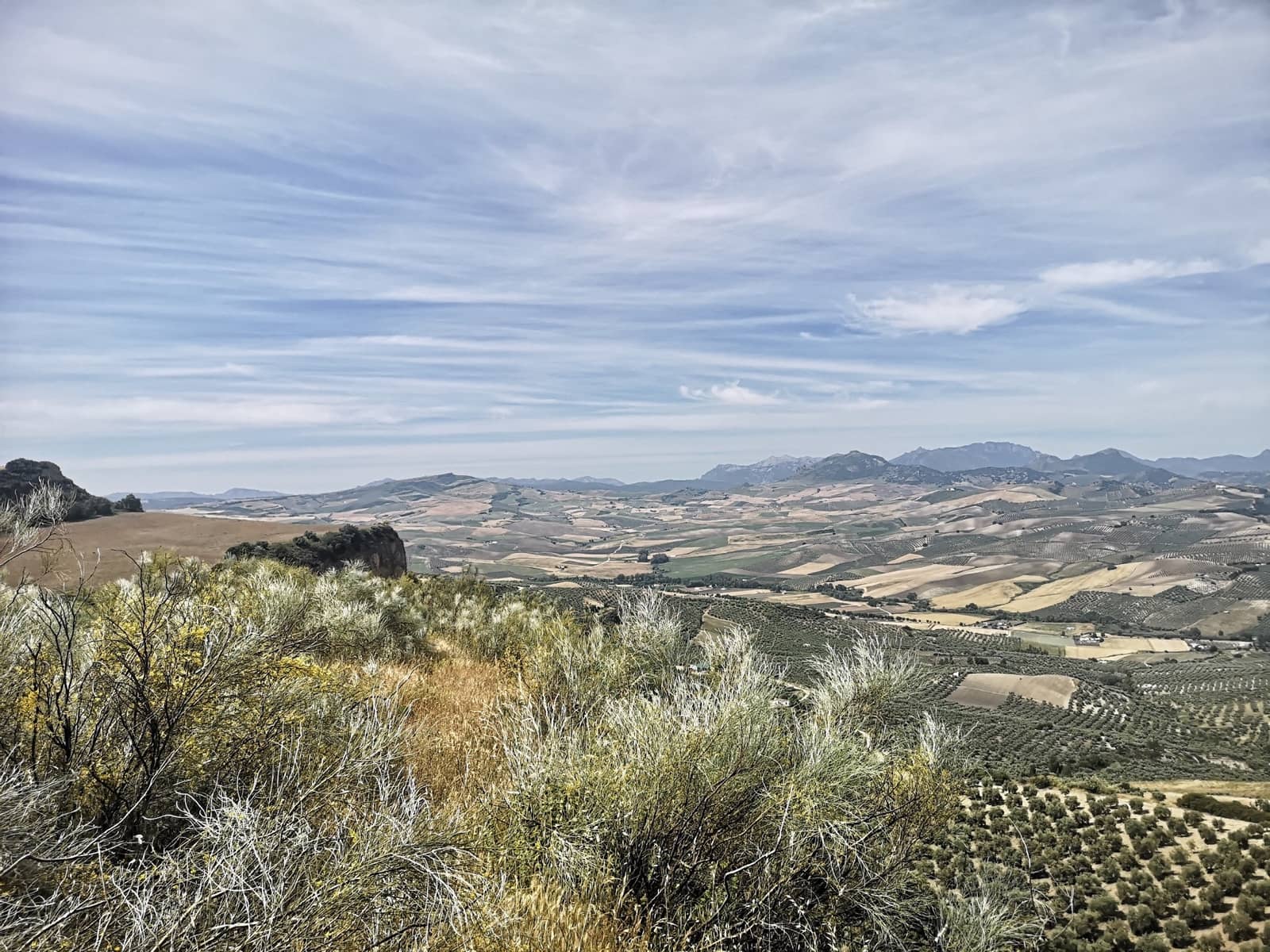 Finca/Landehus til salg i Torre-Alhaquime - € 750.000 (Ref: 6915162)