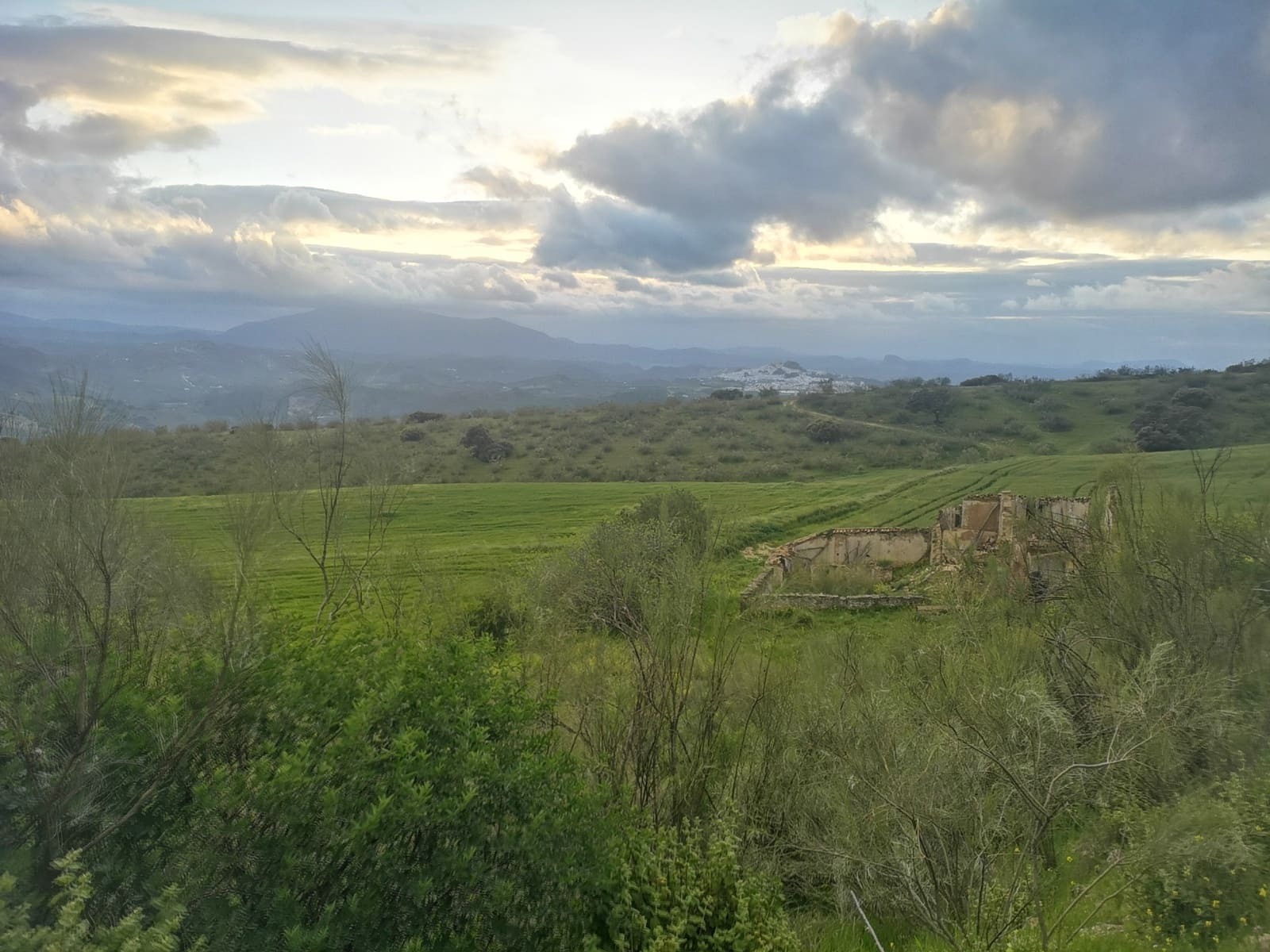 Finca/Landehus til salg i Torre-Alhaquime - € 750.000 (Ref: 6915162)