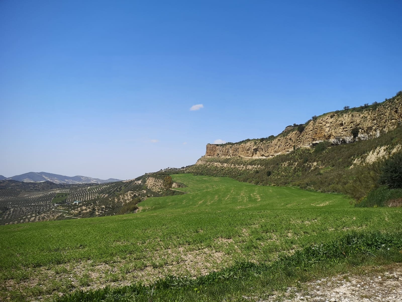 Finca/Landehus til salg i Torre-Alhaquime - € 750.000 (Ref: 6915162)