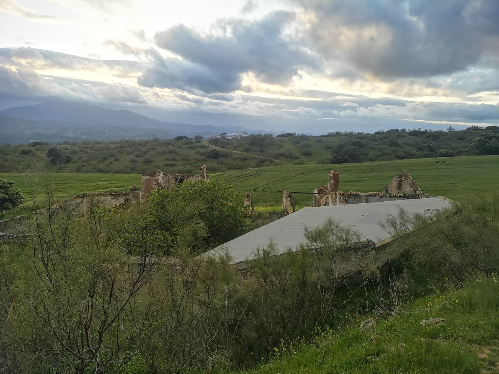 Finca/Landehus til salg i Torre-Alhaquime - € 750.000 (Ref: 6915162)