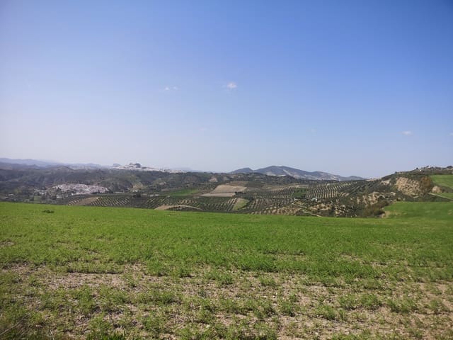 Finca/Landehus til salg i Torre-Alháquime - € 750.000 (Ref: 6915162)