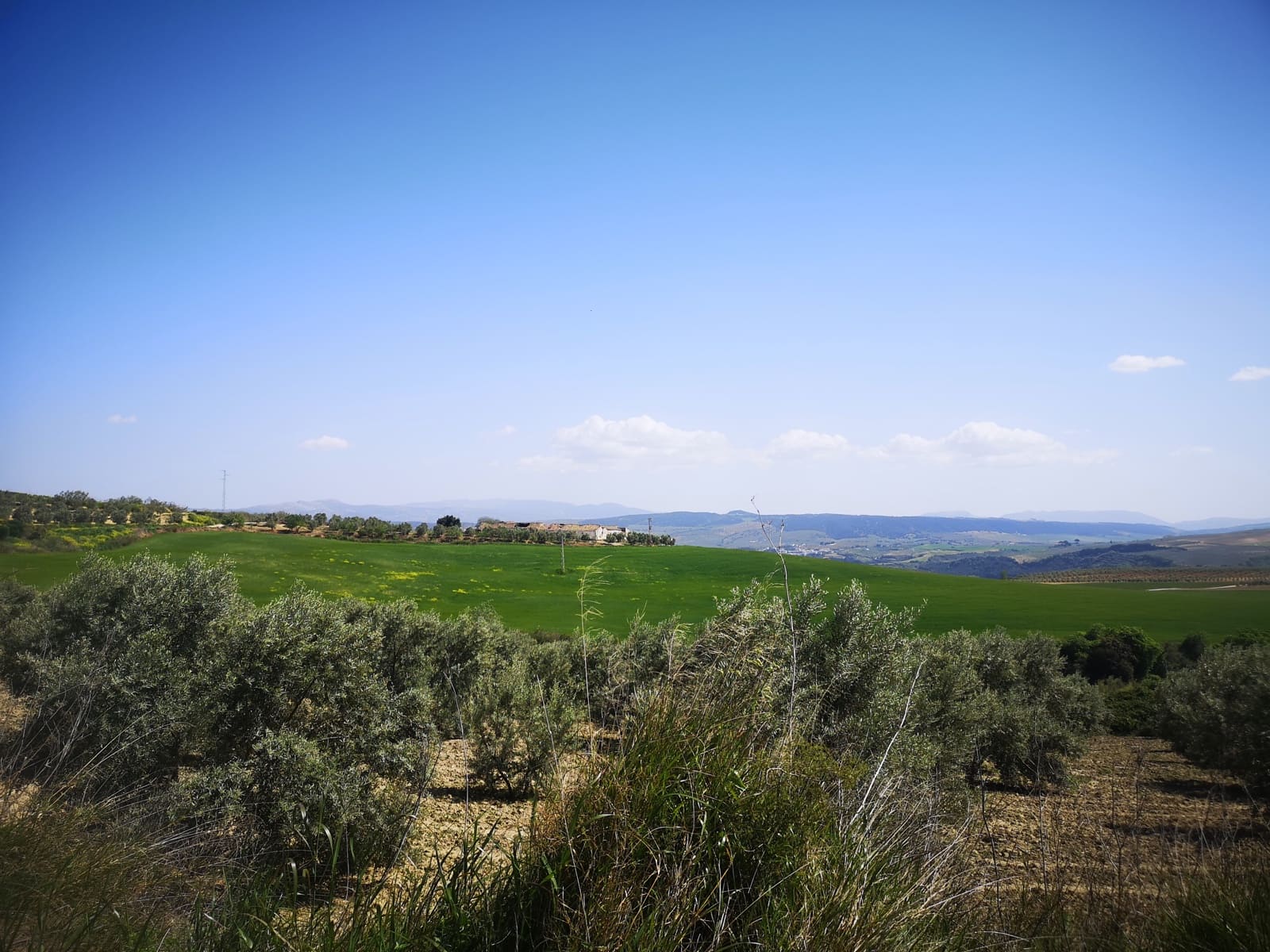 Finca/Landehus til salg i Torre-Alhaquime - € 750.000 (Ref: 6915162)