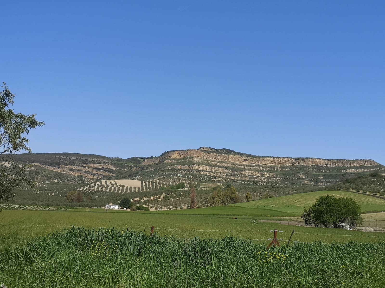 Finca/Landehus til salg i Torre-Alhaquime - € 750.000 (Ref: 6915162)