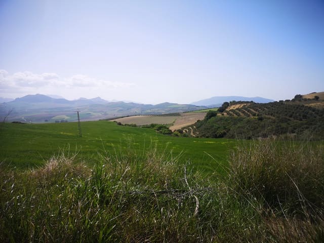 Finca/Landehus til salg i Torre-Alháquime - € 750.000 (Ref: 6915162)