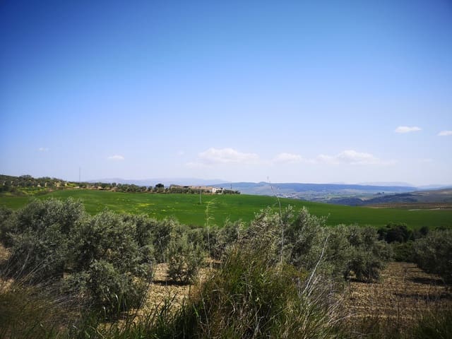 Finca/Landehus til salg i Torre-Alháquime - € 750.000 (Ref: 6915162)