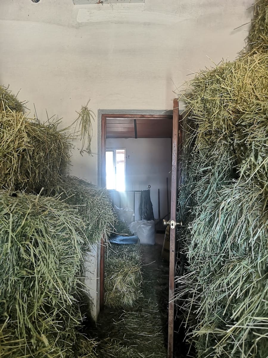 5 soverom Finca/Herregård til salgs i Ronda - € 798 000 (Ref: 6982501)