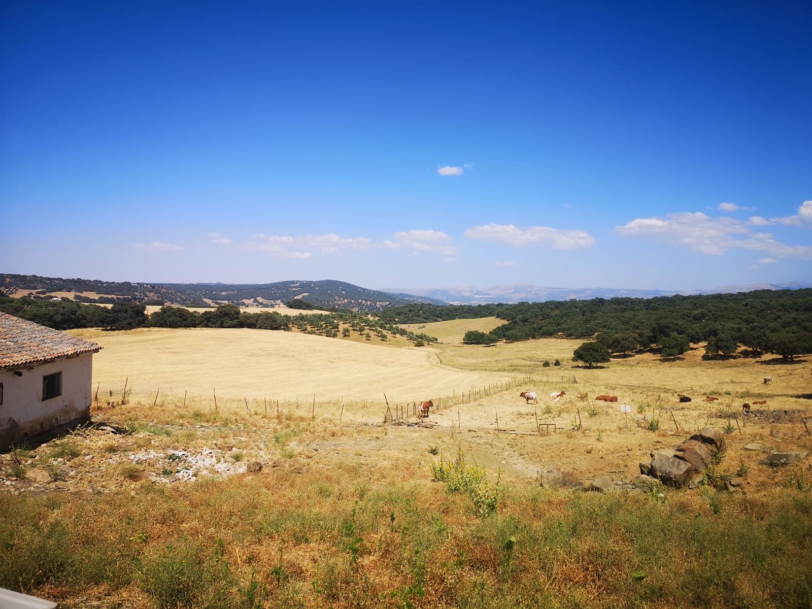 5 soverom Finca/Herregård til salgs i Ronda - € 798 000 (Ref: 6982501)