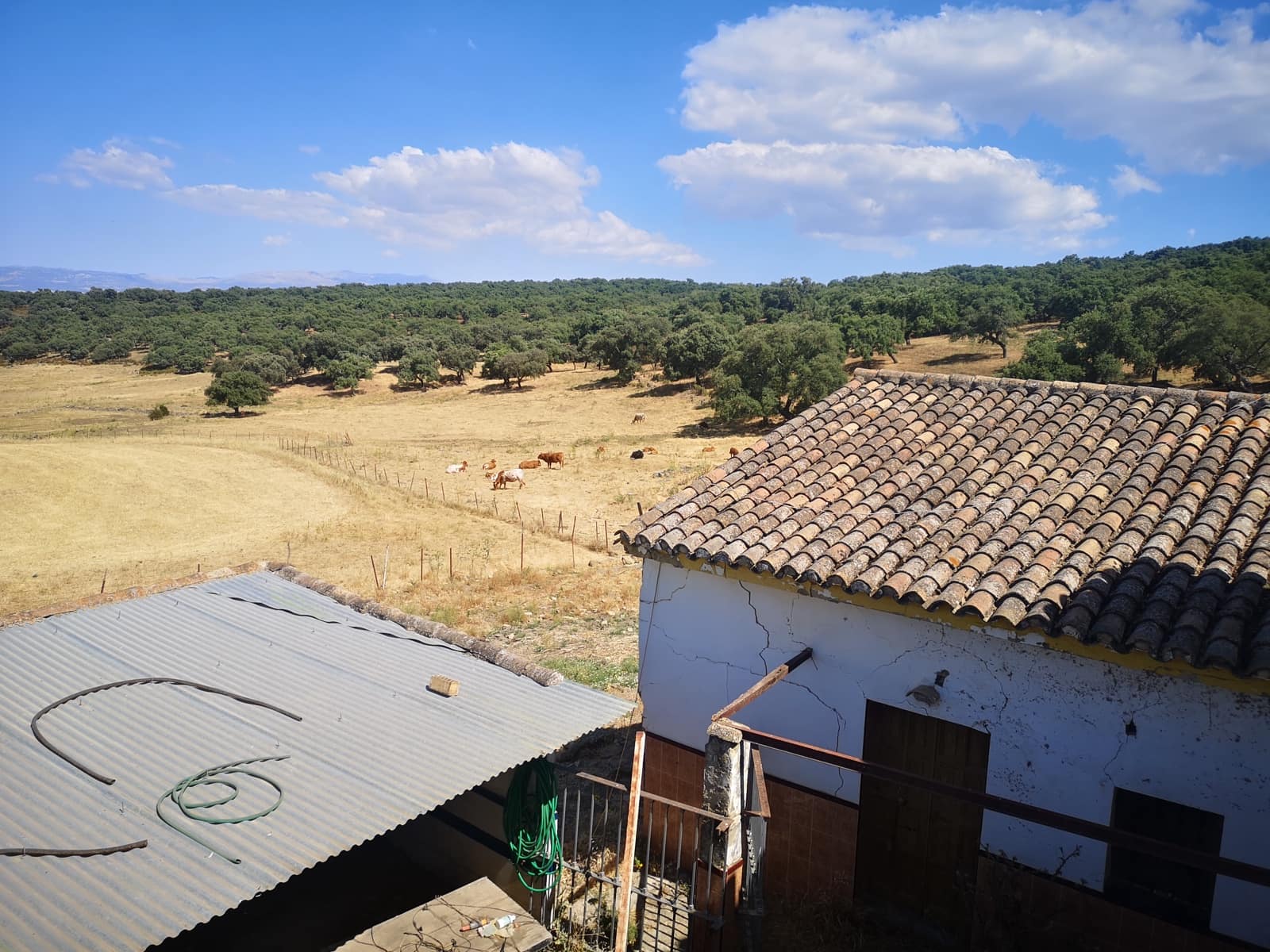 5 soverom Finca/Herregård til salgs i Ronda - € 798 000 (Ref: 6982501)