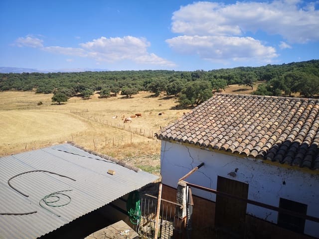 5 sypialnia Finka/Dom wiejski na sprzedaż w Ronda - 798 000 € (Ref: 6982501)