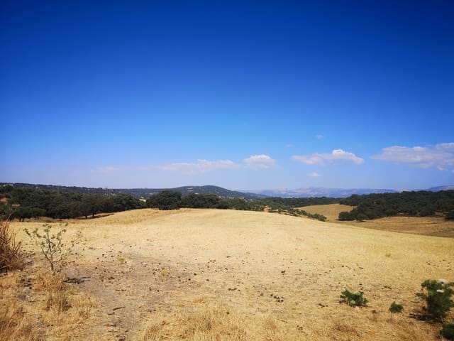 5 sypialnia Finka/Dom wiejski na sprzedaż w Ronda - 798 000 € (Ref: 6982501)