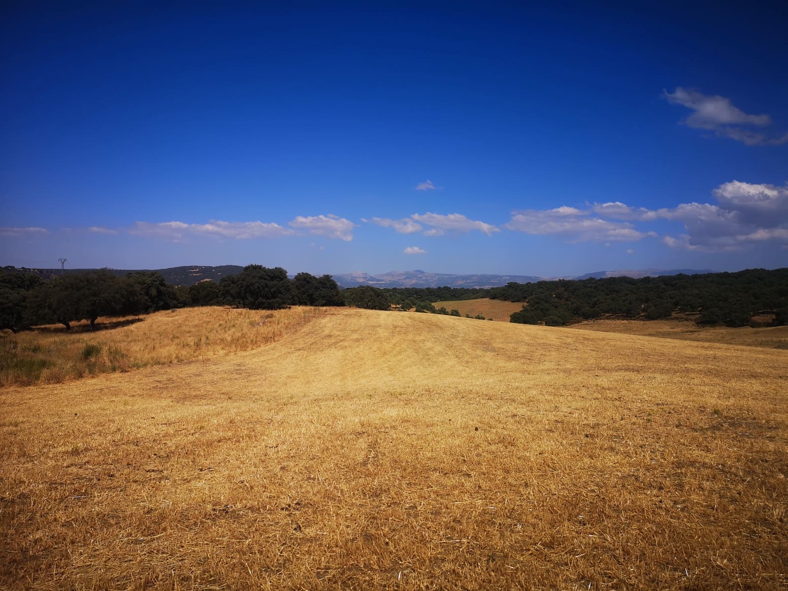 5 soverom Finca/Herregård til salgs i Ronda - € 798 000 (Ref: 6982501)