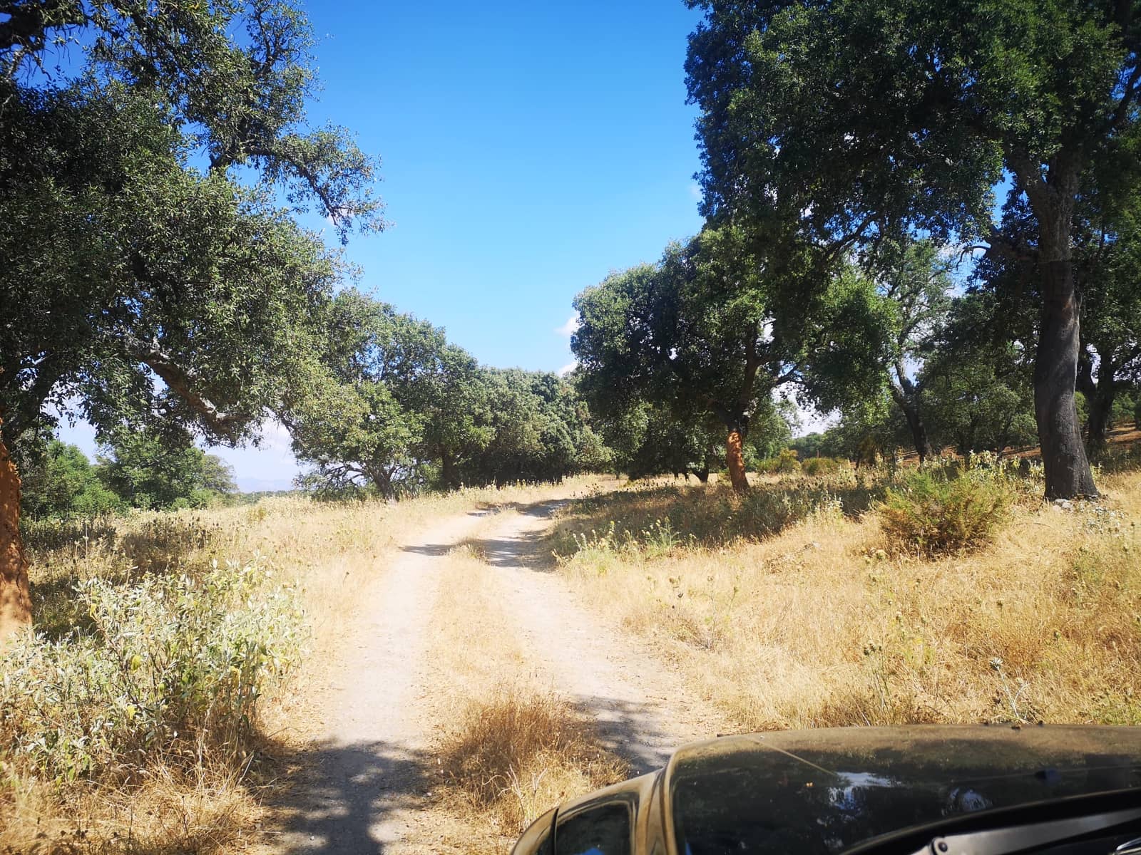 5 soverom Finca/Herregård til salgs i Ronda - € 798 000 (Ref: 6982501)