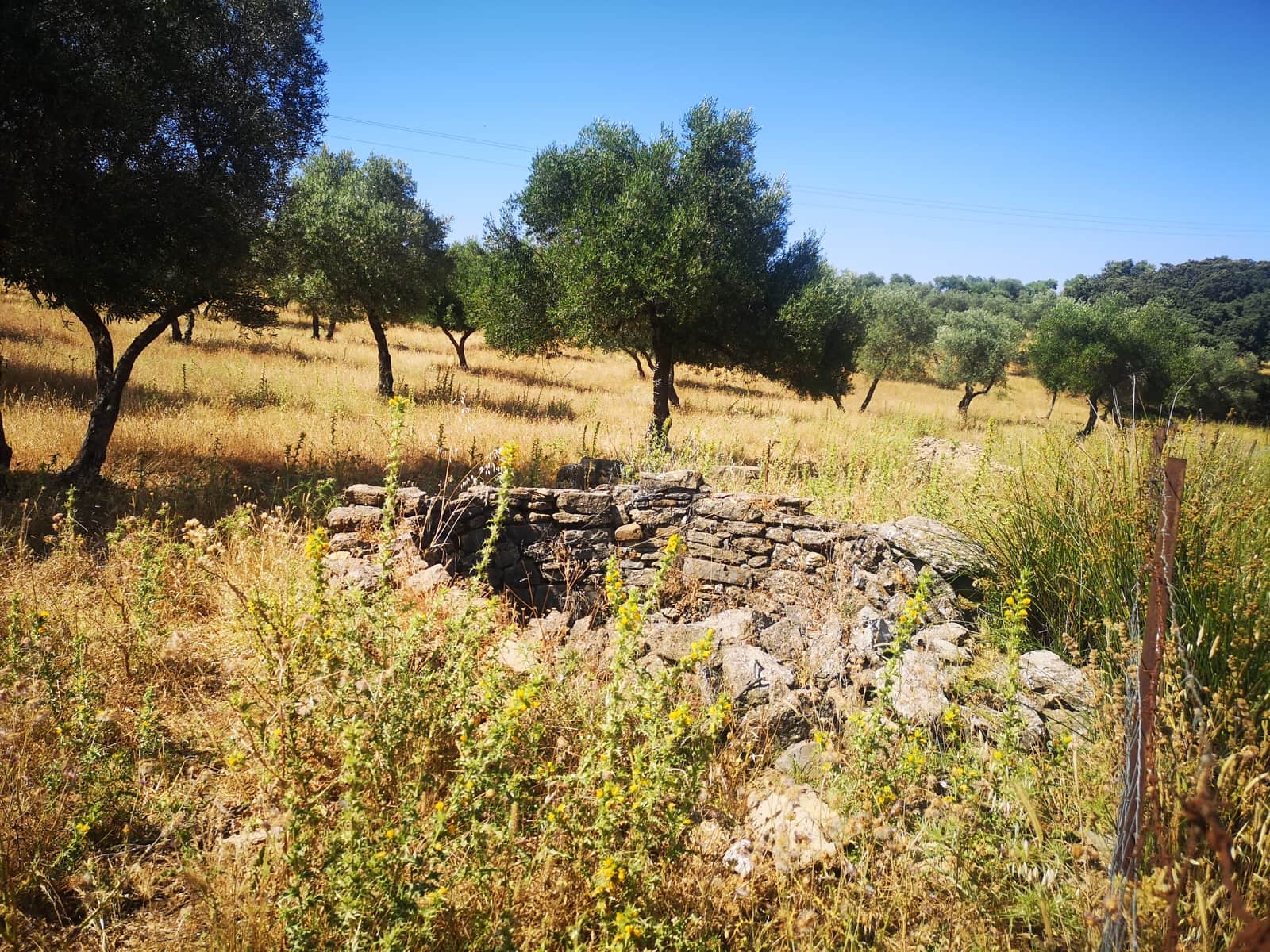 5 soverom Finca/Herregård til salgs i Ronda - € 798 000 (Ref: 6982501)