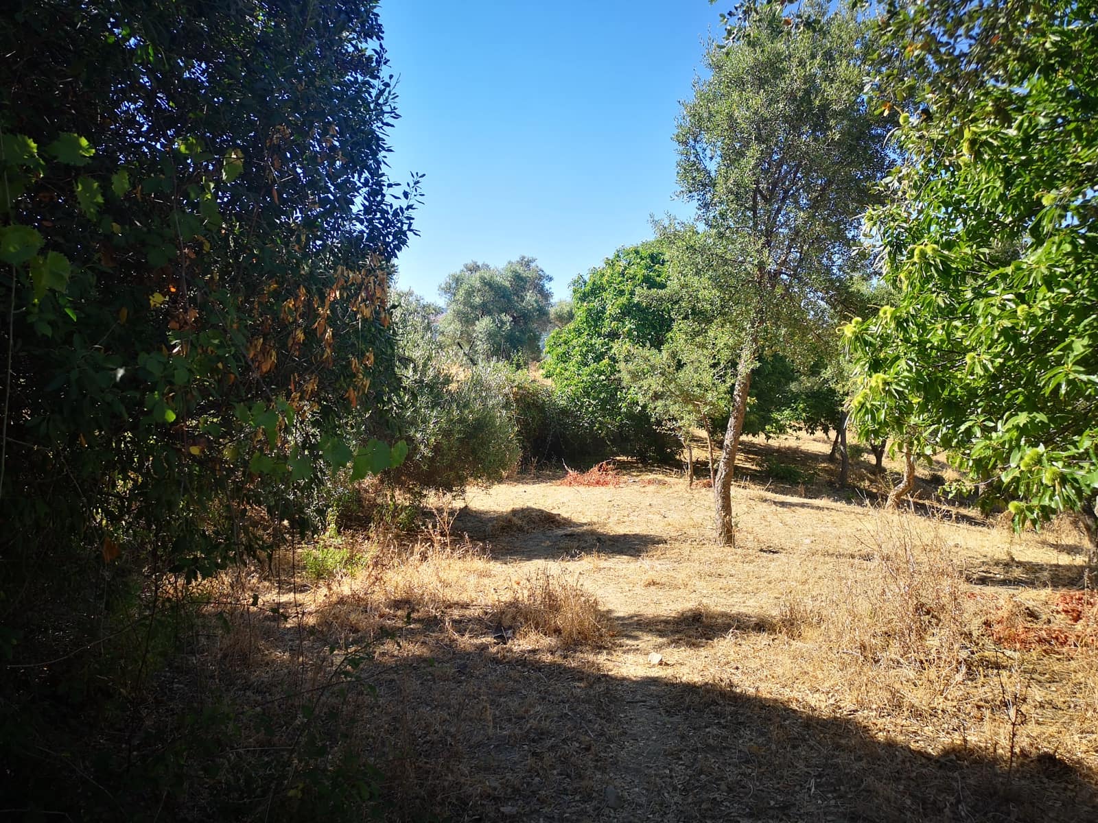 1 soveværelse Finca/Landehus til salg i Farajan - € 140.000 (Ref: 7032575)