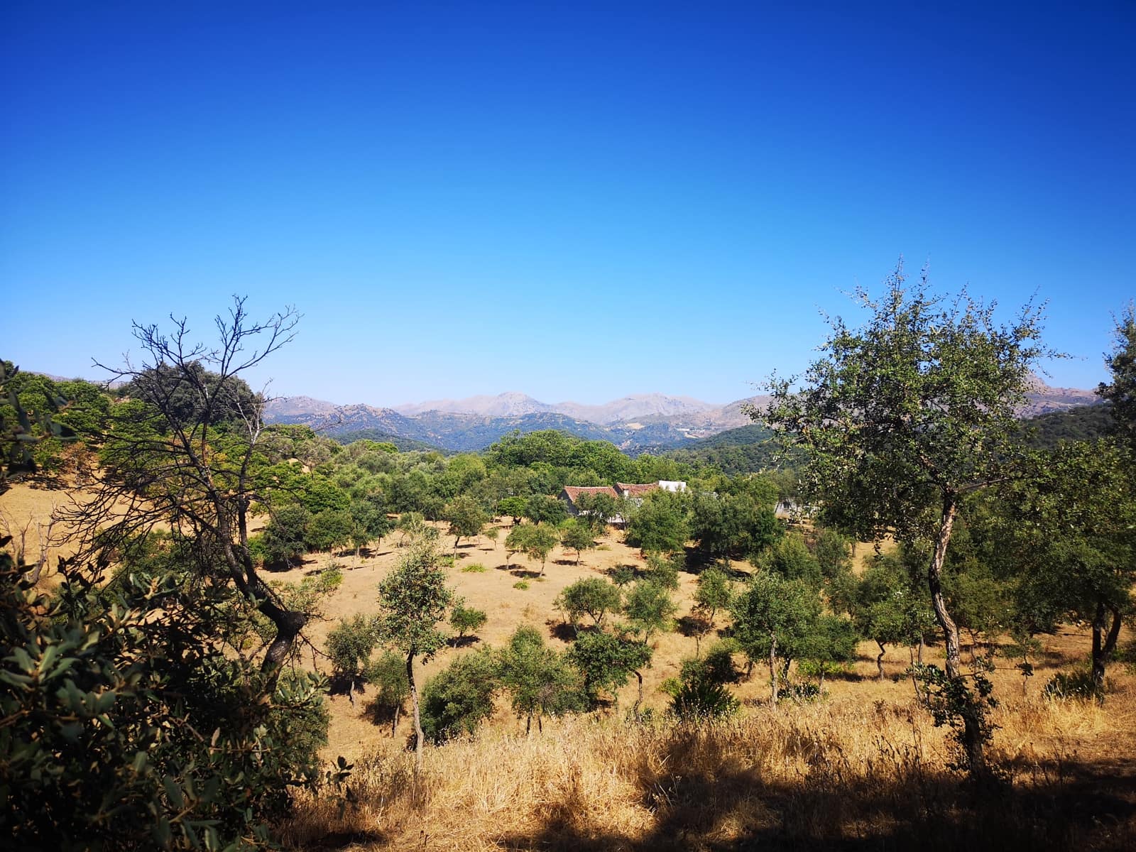 1 soveværelse Finca/Landehus til salg i Farajan - € 140.000 (Ref: 7032575)