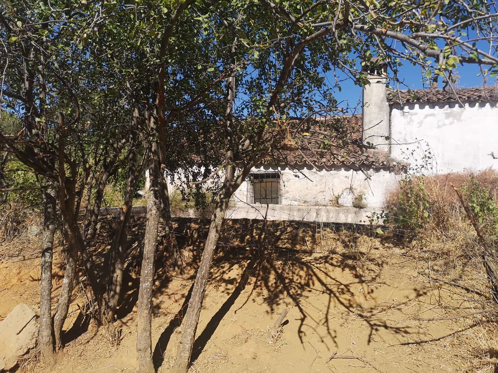 1 soveværelse Finca/Landehus til salg i Farajan - € 140.000 (Ref: 7032575)