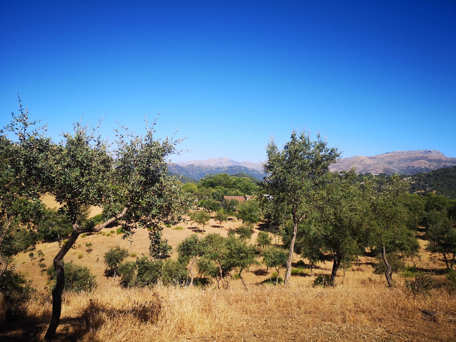 1 soveværelse Finca/Landehus til salg i Farajan - € 140.000 (Ref: 7032575)