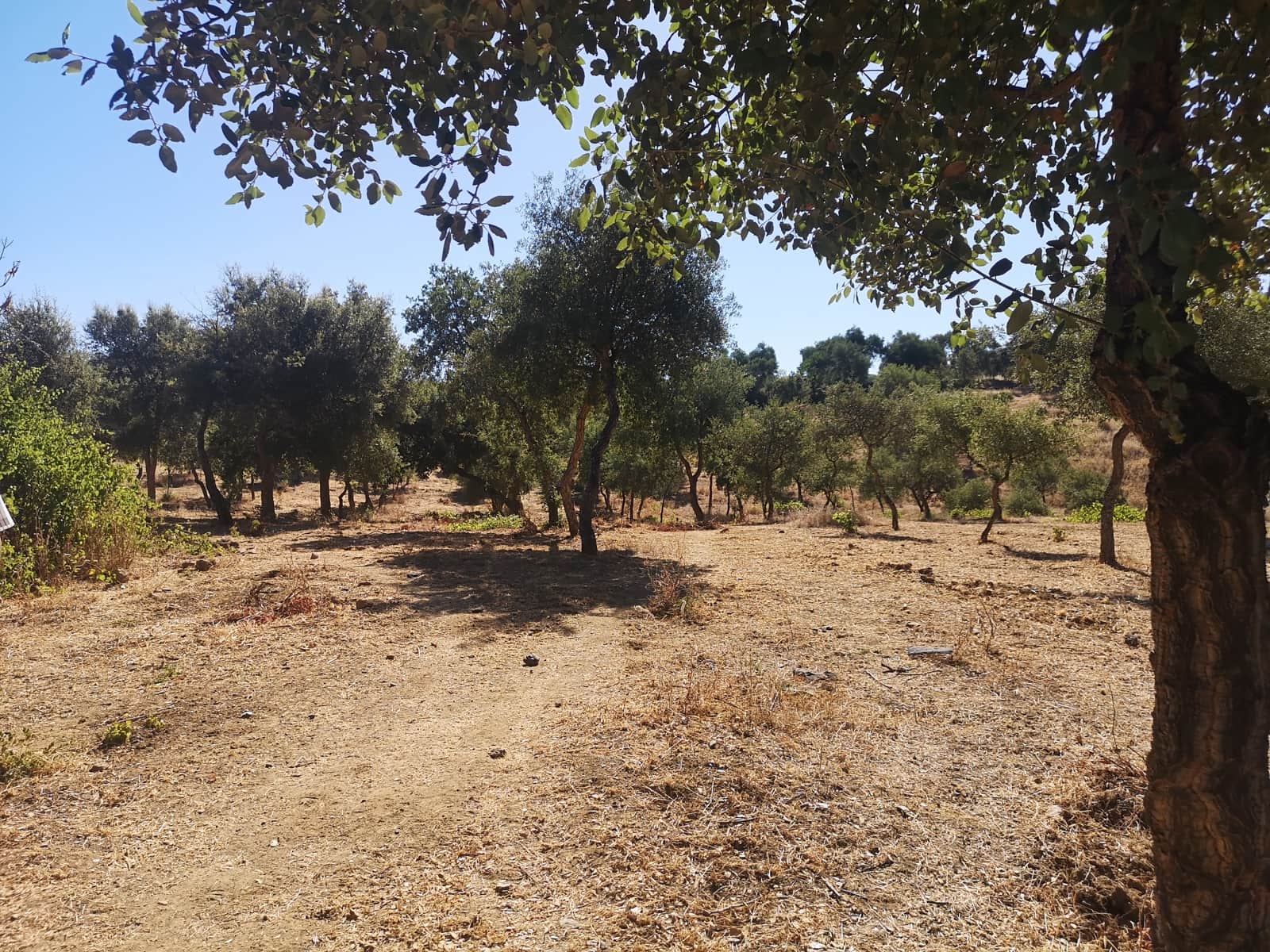 1 soveværelse Finca/Landehus til salg i Farajan - € 140.000 (Ref: 7032575)