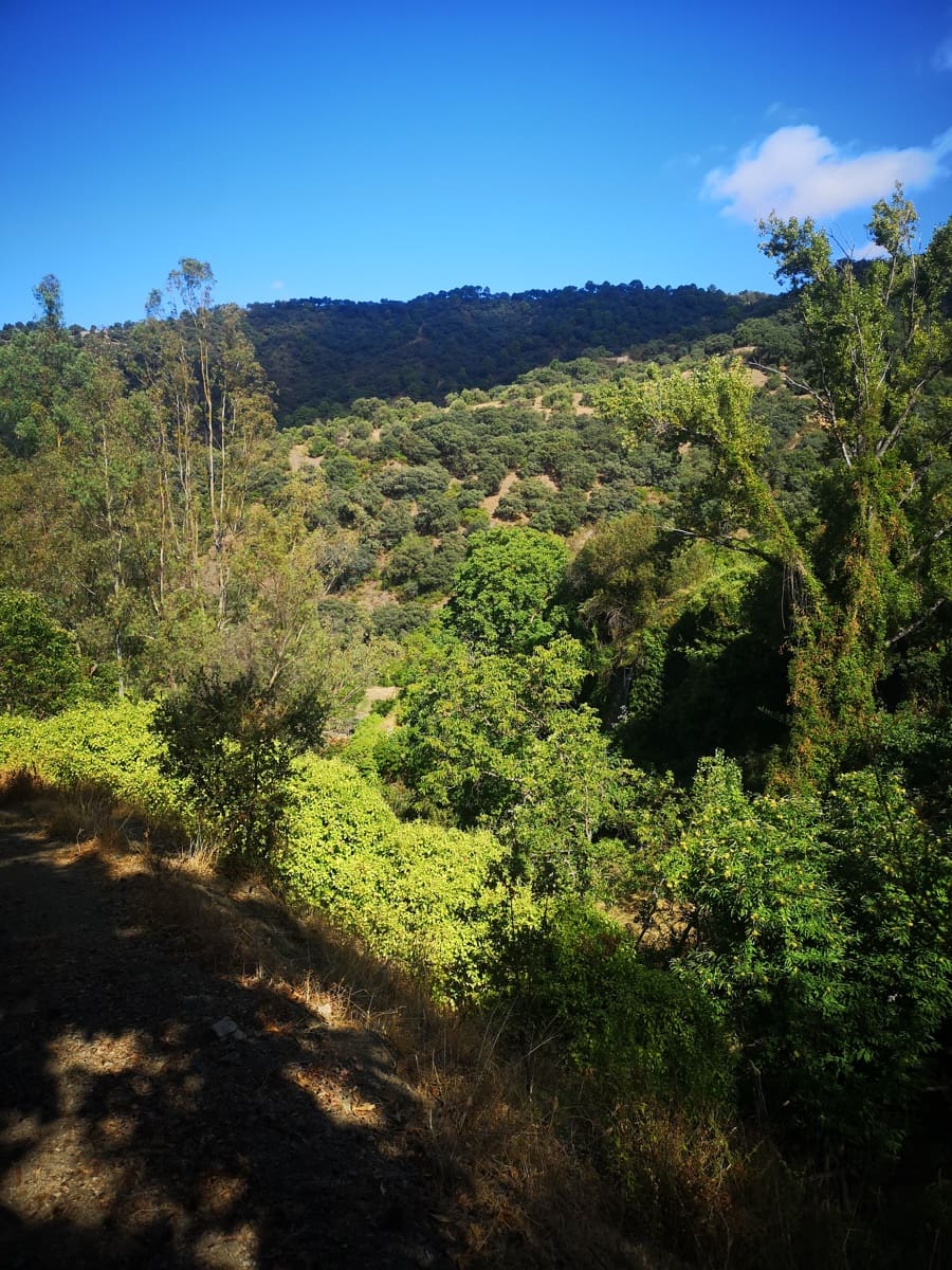 Finca/Landehus til salg i Farajan - € 95.000 (Ref: 7142593)