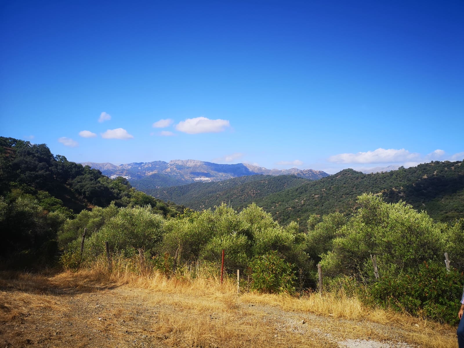 Finca/Landehus til salg i Farajan - € 95.000 (Ref: 7142593)