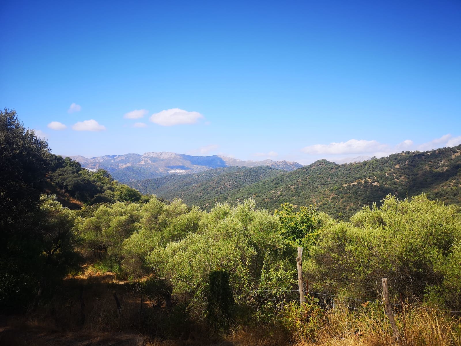 Finca/Landehus til salg i Farajan - € 95.000 (Ref: 7142593)