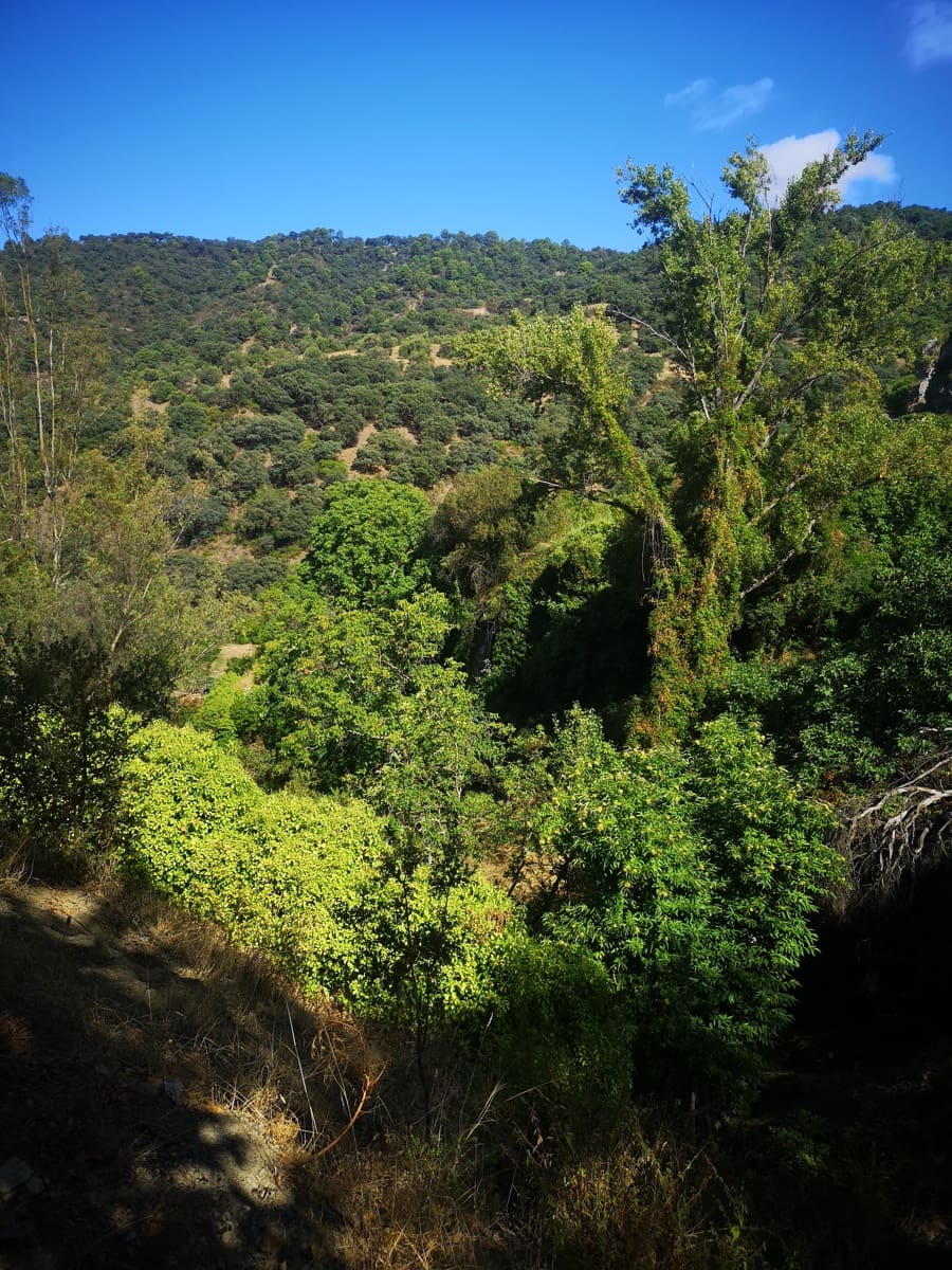 Finca/Landehus til salg i Farajan - € 95.000 (Ref: 7142593)