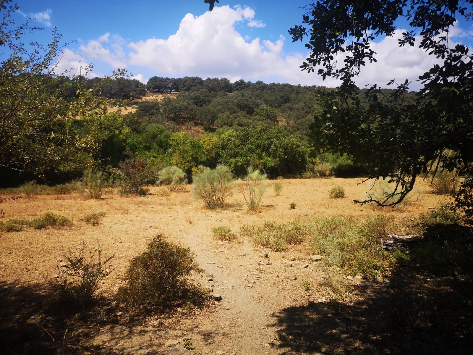 Finca/Maison de Campagne à vendre à Algatocin - 180 000 € (Ref: 7296043)