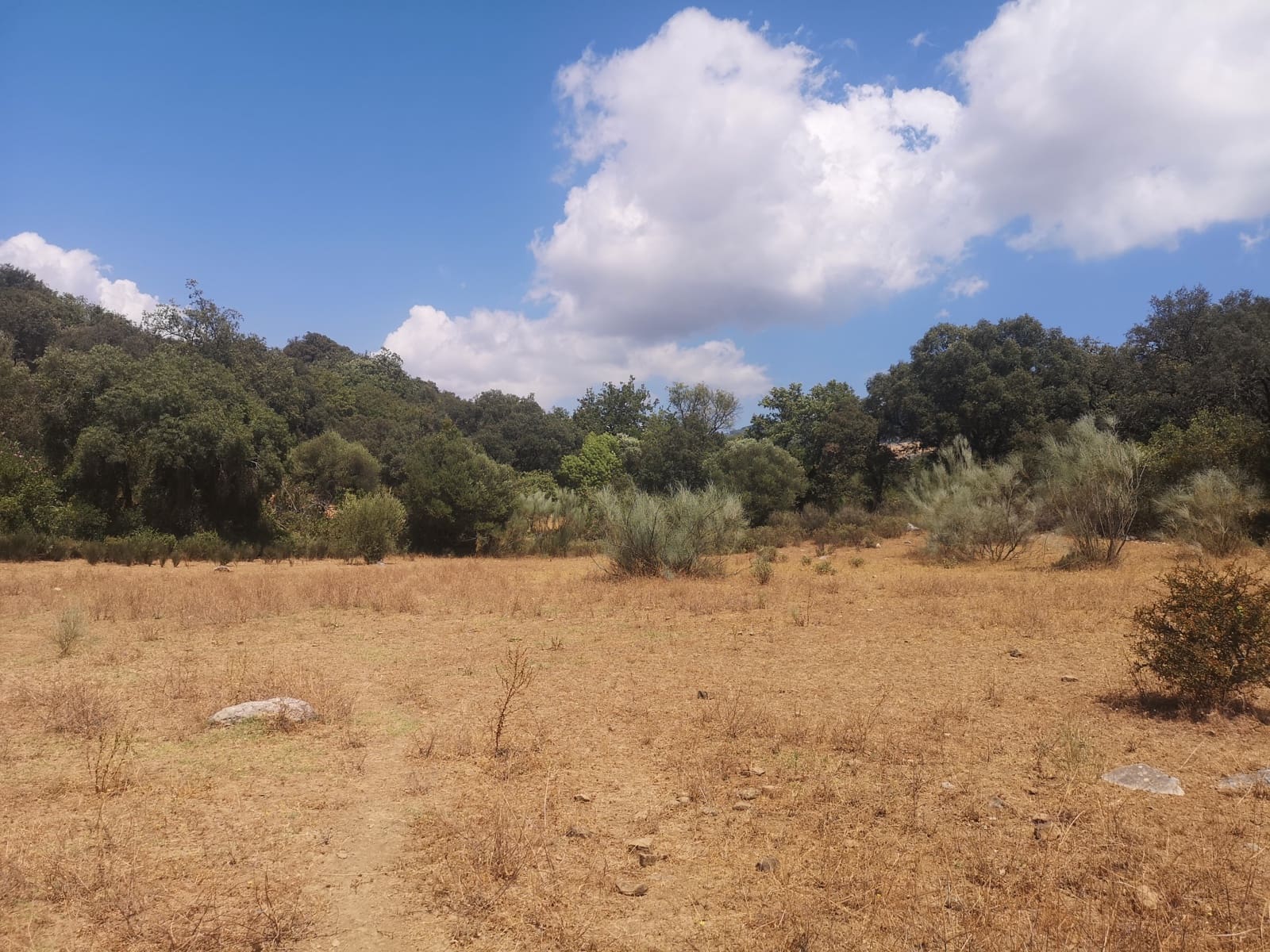 Finca/Maison de Campagne à vendre à Algatocin - 180 000 € (Ref: 7296043)