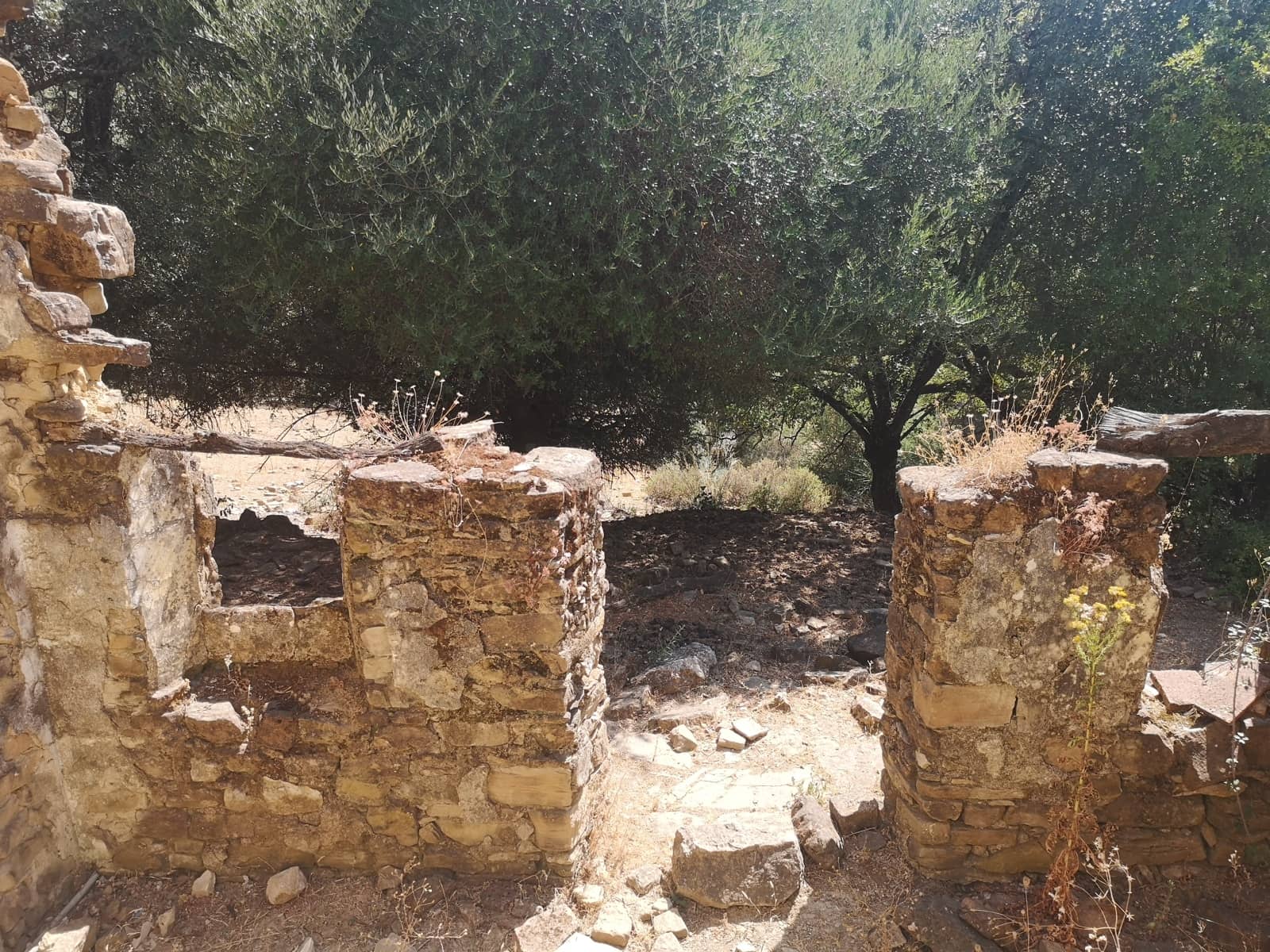 Finca/Maison de Campagne à vendre à Algatocin - 180 000 € (Ref: 7296043)