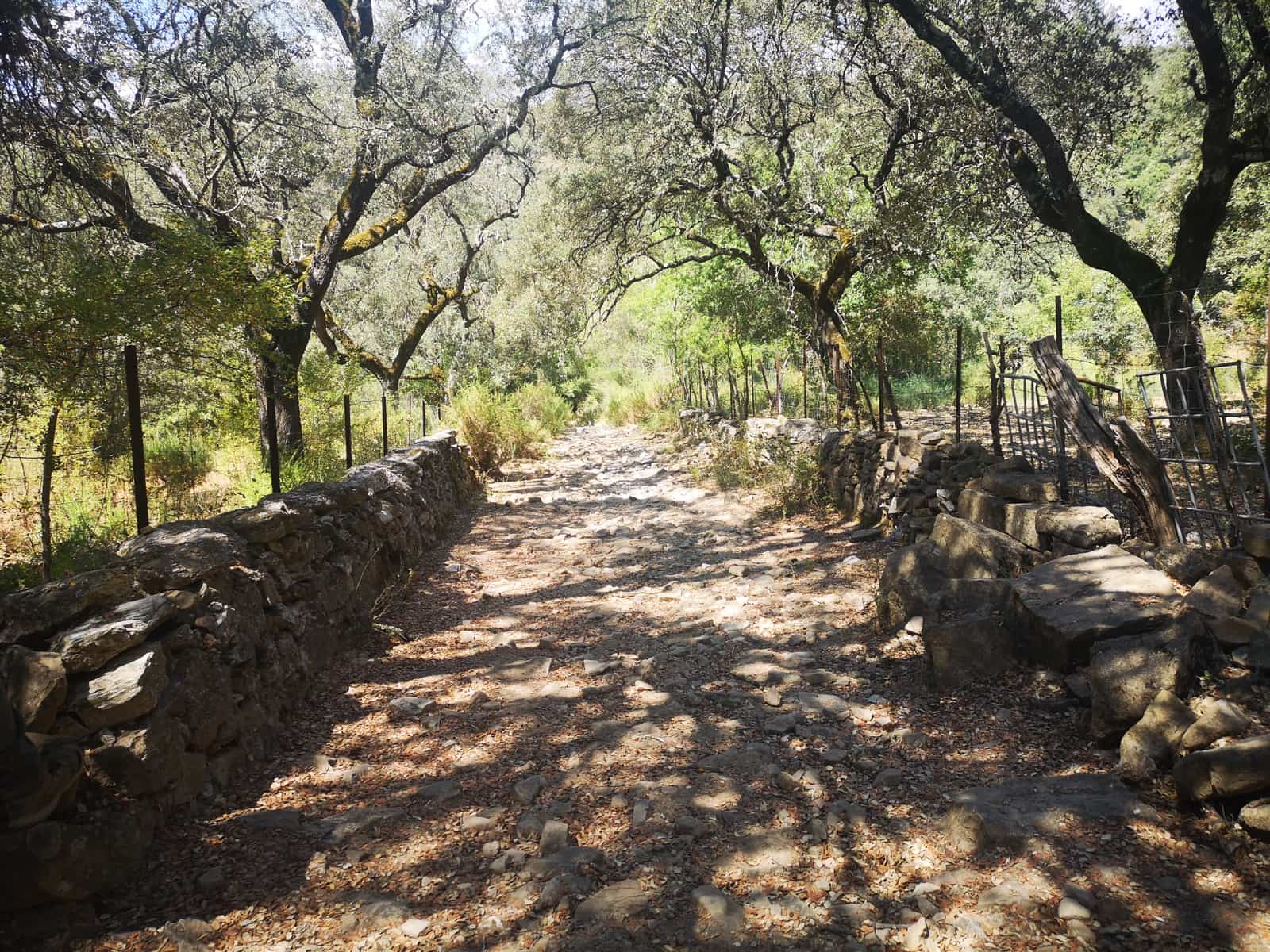 Finca/Maison de Campagne à vendre à Algatocin - 180 000 € (Ref: 7296043)