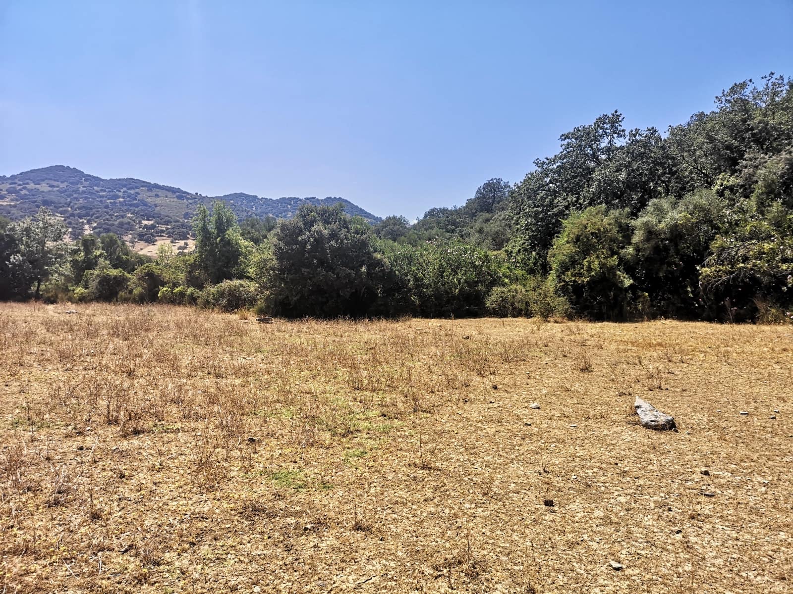 Finca/Maison de Campagne à vendre à Algatocin - 180 000 € (Ref: 7296043)