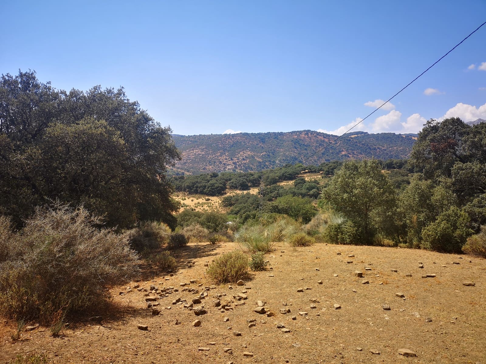 Finca/Maison de Campagne à vendre à Algatocin - 180 000 € (Ref: 7296043)