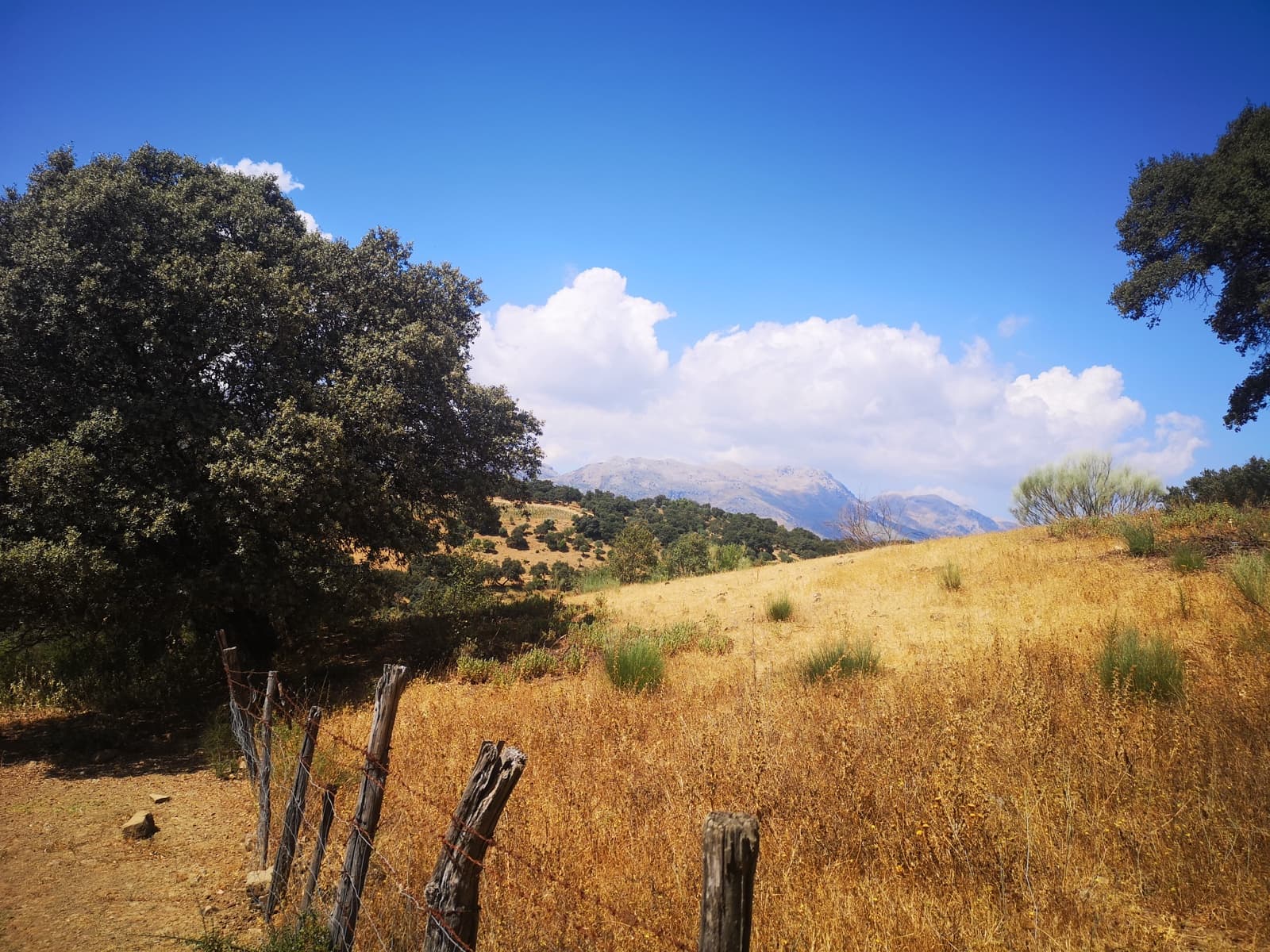 Finca/Maison de Campagne à vendre à Algatocin - 180 000 € (Ref: 7296043)