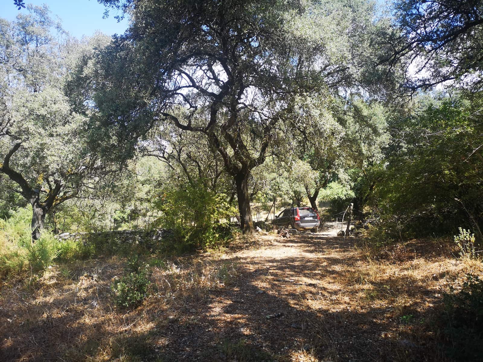 Finca/Maison de Campagne à vendre à Algatocin - 180 000 € (Ref: 7296043)