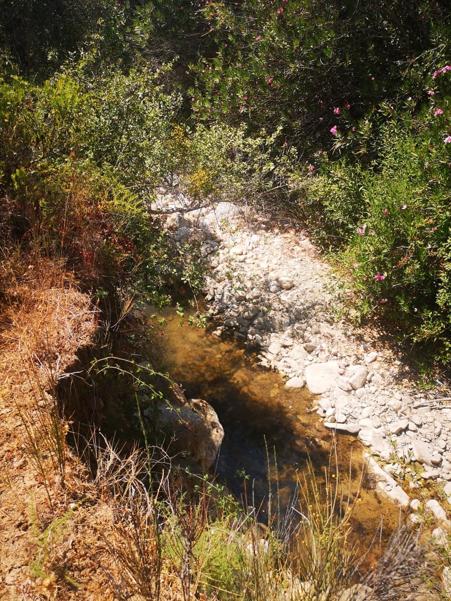 Finca/Maison de Campagne à vendre à Algatocin - 180 000 € (Ref: 7296043)