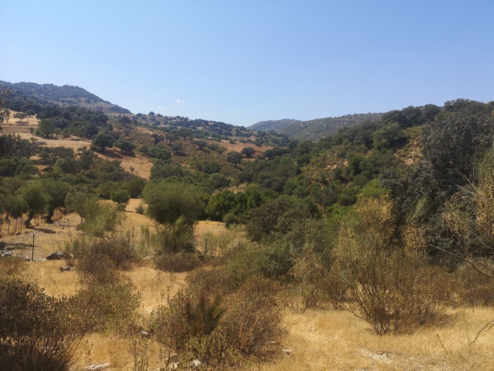 Finca/Maison de Campagne à vendre à Algatocin - 180 000 € (Ref: 7296043)