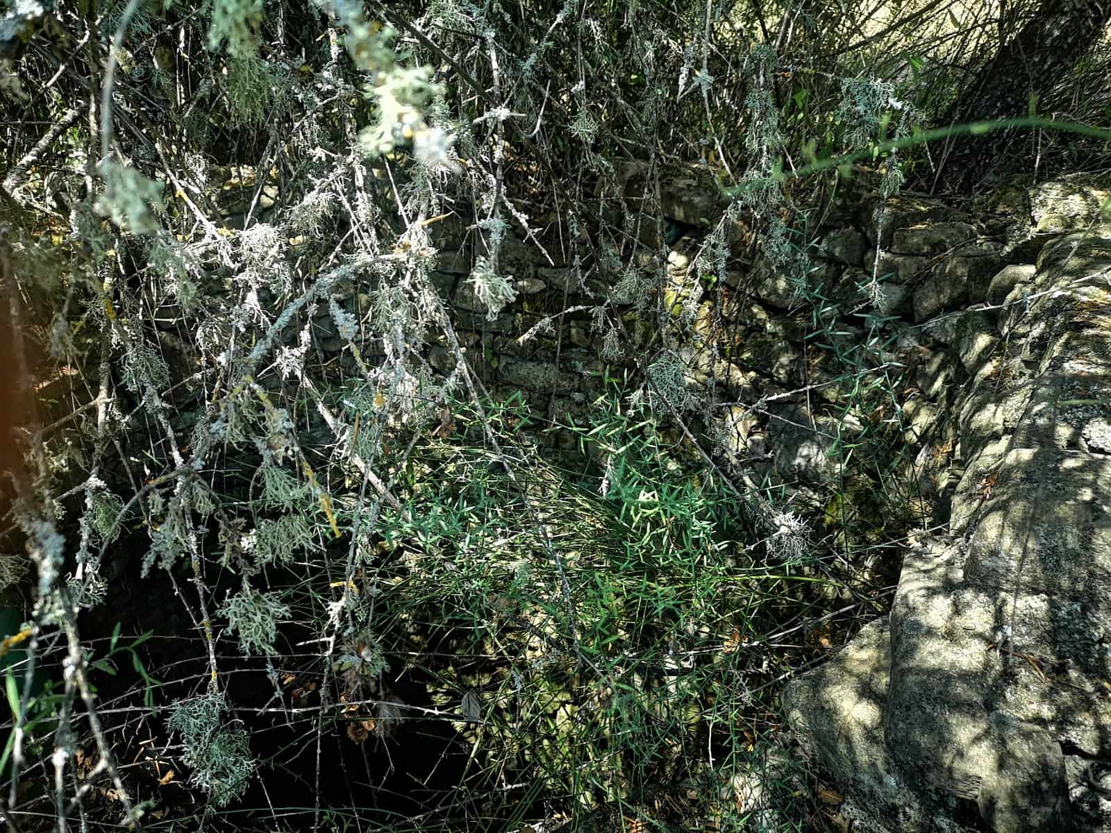 Finca/Maison de Campagne à vendre à Algatocin - 180 000 € (Ref: 7296043)