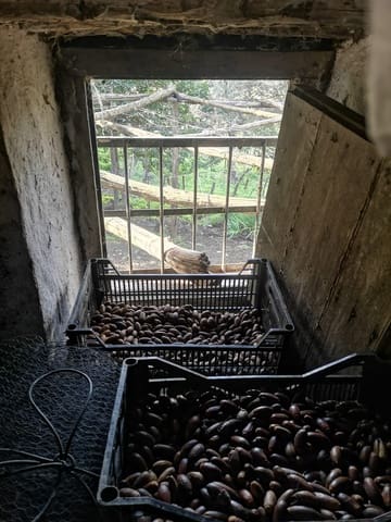 Finca/Herregård til salgs i Genalguacil - € 280 000 (Ref: 7372012)