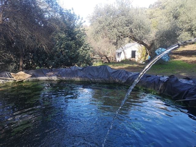 Finca/Herregård til salgs i Genalguacil - € 280 000 (Ref: 7372012)