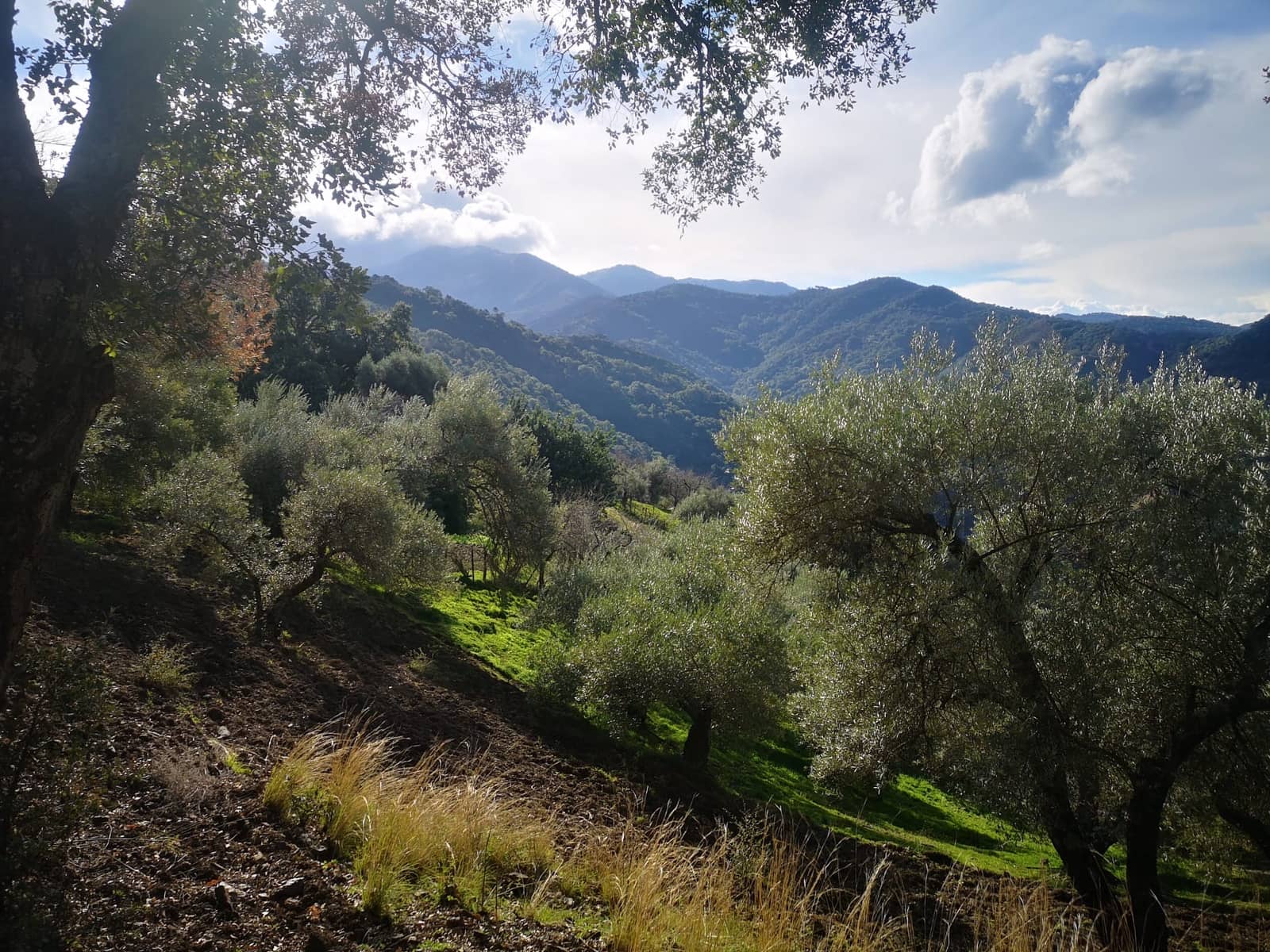 Finca/Herregård til salgs i Genalguacil - € 280 000 (Ref: 7372012)