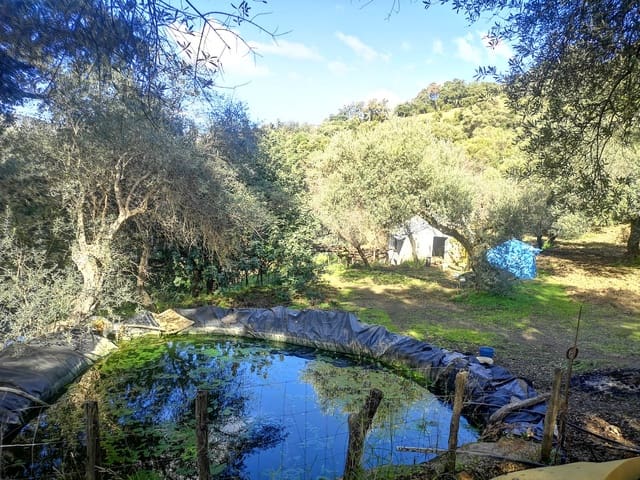 Finca/Herregård til salgs i Genalguacil - € 280 000 (Ref: 7372012)