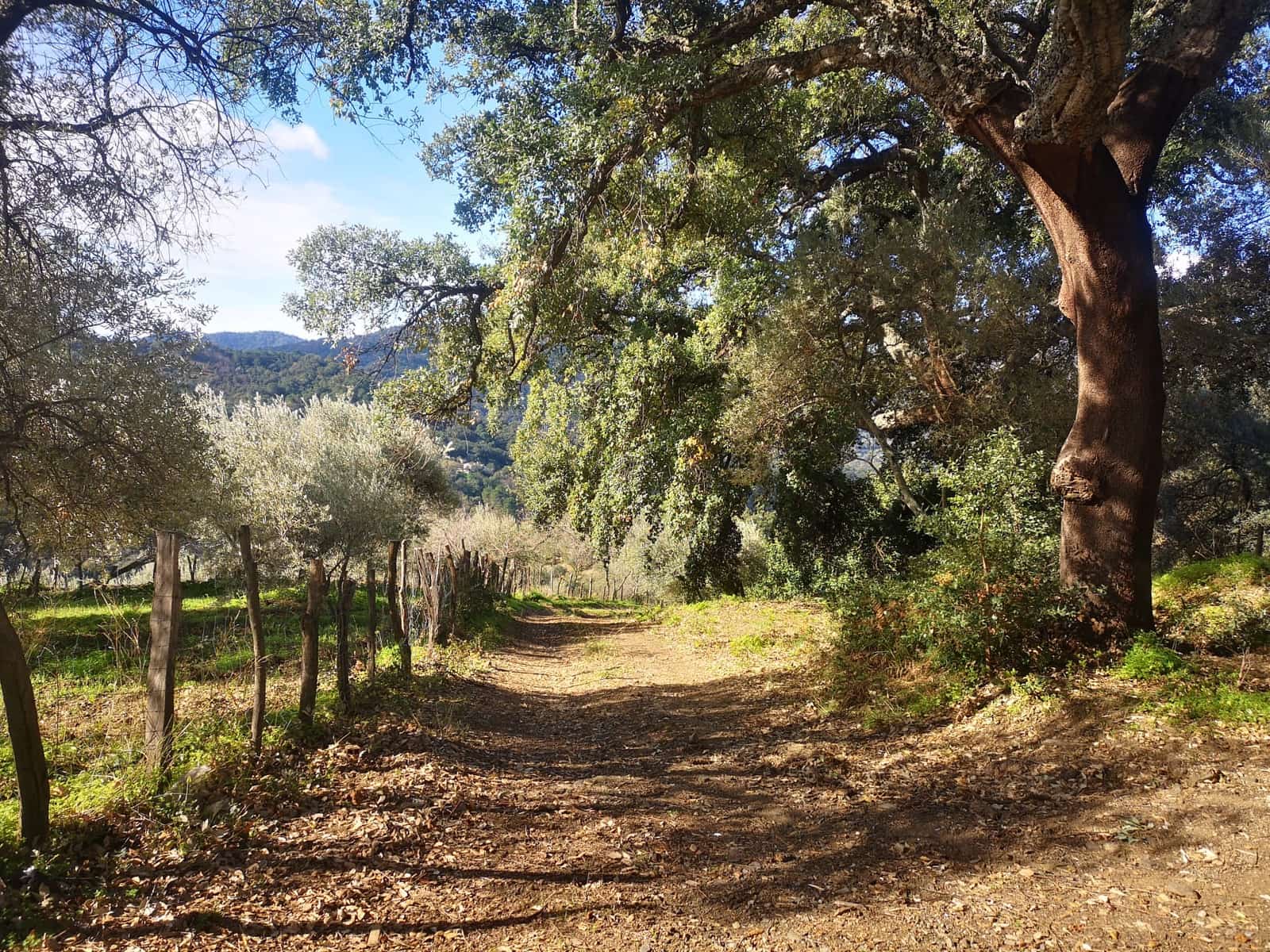 Finca/Herregård til salgs i Genalguacil - € 280 000 (Ref: 7372012)