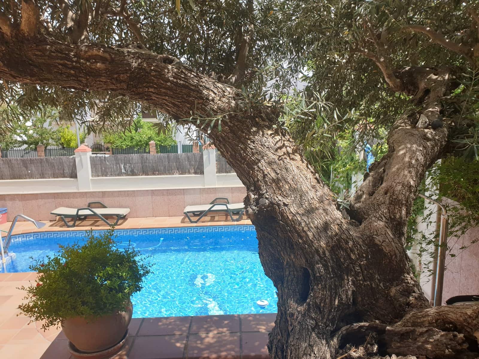 Villa til salg i Ronda med swimmingpool garage - € 829.000 (Ref: 7404810)