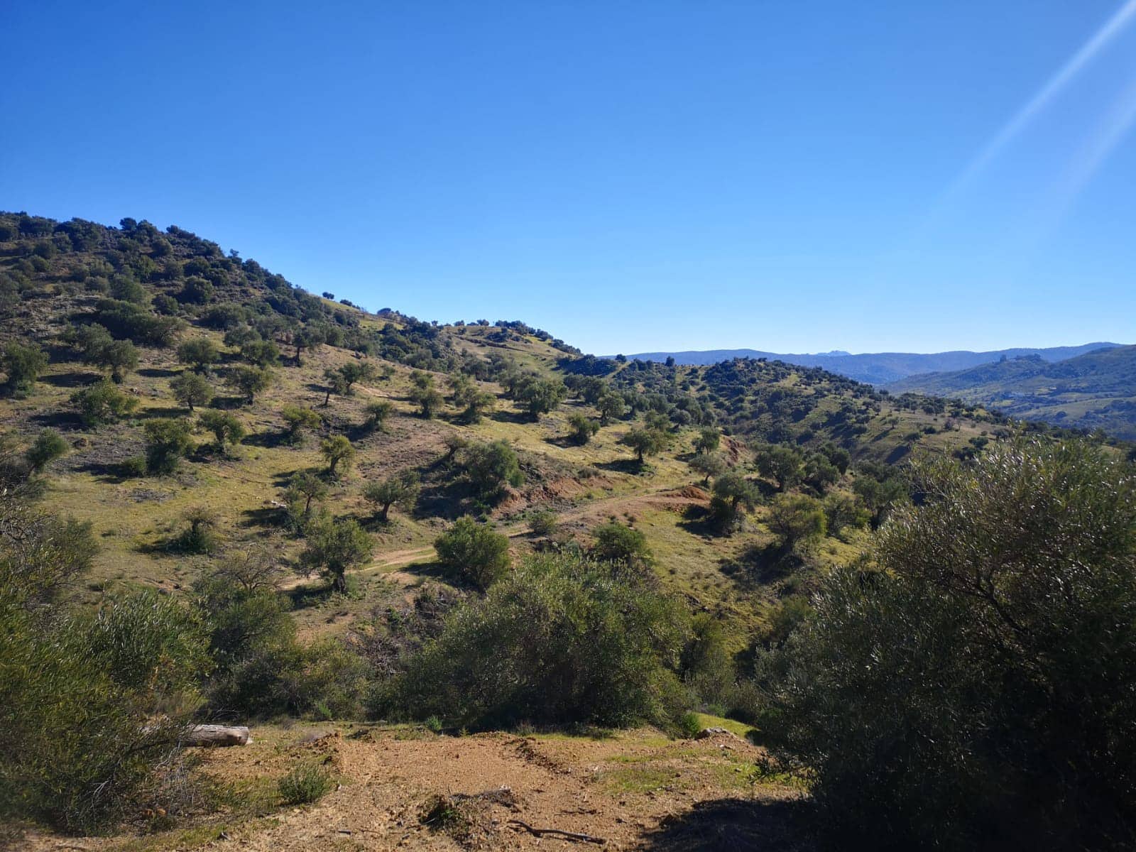 Finca/Landehus til salg i El Gastor - € 845.000 (Ref: 7459477)